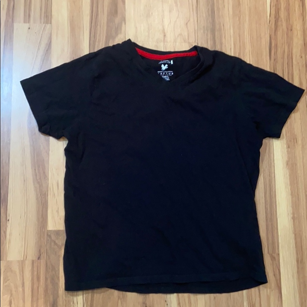 🔥🔥🔥Cactus Vneck Tee Black Large